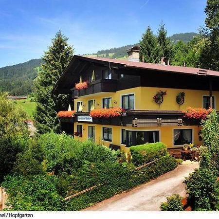 Landhaus Michael Hopfgarten im Brixental Extérieur photo